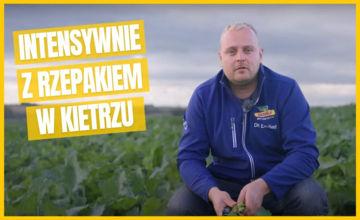 Rzepak DK Excited prowadzony na wysoki plon