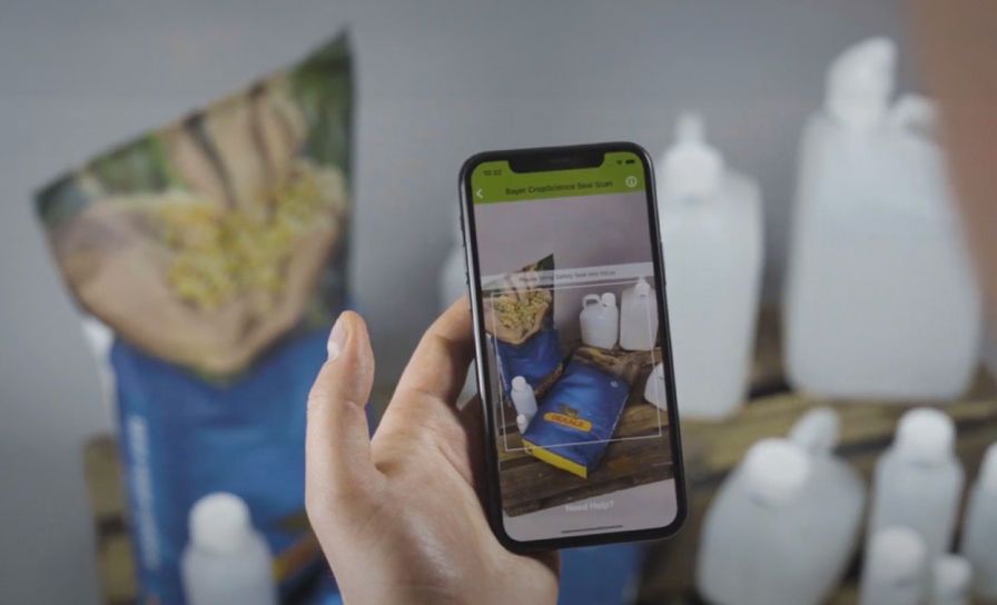 Jak sprawdzić oryginalność nasion DEKALB?