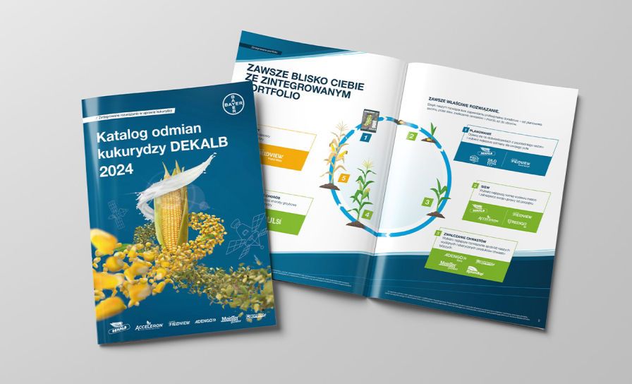 Katalog nasion kukurydzy Dekalb 2024