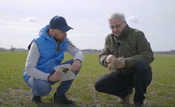 Łamliwość jest najważniejsza w zabiegu T1
