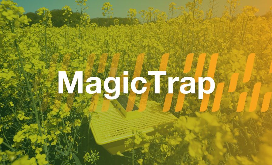 MagicTrap