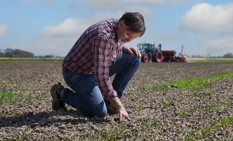 Nad chwastami w zbożach wiosną zapanuje Incelo