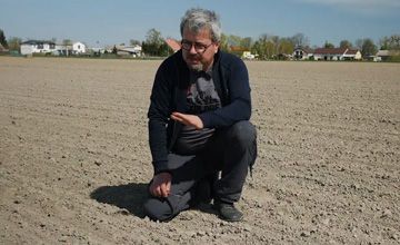 Zwalczanie chwastów w burakach cukrowych