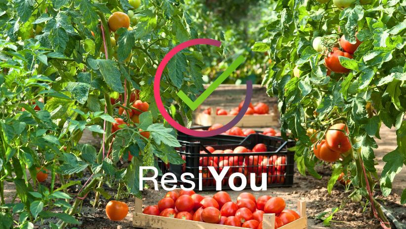 ResiYou - inteligentne narzędzie do zarządzania pozostałościami środków ochrony roślin