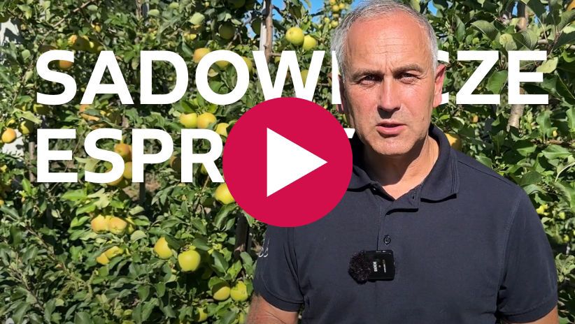 Nasza playlista: Sady, warzywa, jagodniki